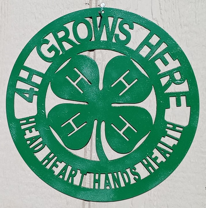 Pleasant Grove 4-H Industrial & Vocational Skills Group  Maker Picture